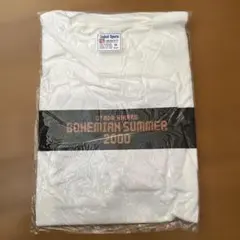 Item thumbnail for item 375d6844-126a-4acd-a000-cb4e44983b1f