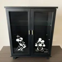 ＊レア＊ディズニー マグネット式キャビネット アクセサリーケース付きガラスケース