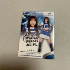 Item thumbnail for item b7890ea1-4306-4ae6-99dd-827cae72de54