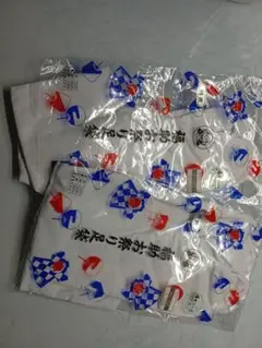 Item thumbnail for item 4e1fa497-9007-42bf-99f4-58c2d3de4e7f