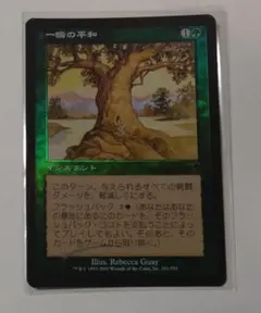 MTG【Foil】ODY 一瞬の平和/Moment's Peace 日本語