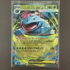 ポケモンカード メガフシギバナex
