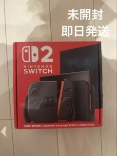 Nintendo Switch Lite 日本語設定