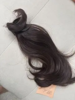 Item thumbnail for item 8d995633-4552-4566-9b0f-23cabaf215fd