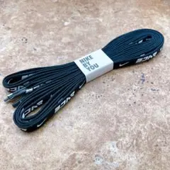 Item thumbnail for item b8fa7919-50e1-469d-ae3c-a2785ccb42f3