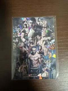 RIZIN ポテト スティック カード RIZIN.48 No.28