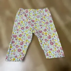 Item thumbnail for item ea65775c-97cc-4a4a-9040-b33f95c45507