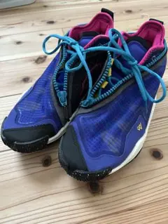 Jordan whynot US10.5 28.5センチ