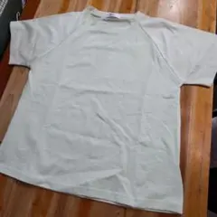 ゴールデンベア ジャカード切り替えTシャツ