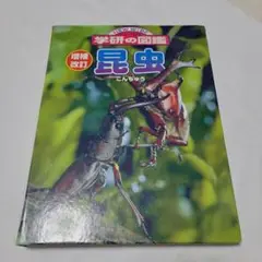 昆虫