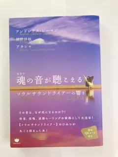 2025年最新】ソウルサウンドライアーの人気アイテム - メルカリ