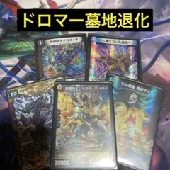 ドロマー墓地退化　二重スリーブ付き