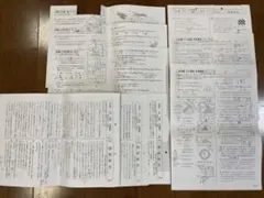 限定値下げ 浜学園 小5 Sクラス 冬期講習テスト 国語算数理科フルセット②