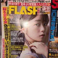 FLASH 2018年1月号 & Secret No.61 セット