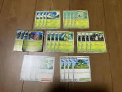 ポケモンカード　メガニウム　進化ライン