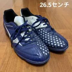 ミズノ サッカートレーニングシューズ