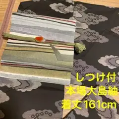 しつけ付 着物 きもの 本場大島紬 正絹 茶色 黒 雲