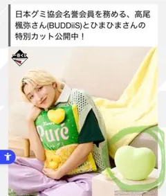 一番くじ　ピュレグミプレミアム