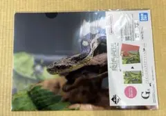 Item thumbnail for item ef9b3704-3946-470f-a715-574dc499a5ab