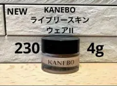 Item thumbnail for item 446e731c-6bad-40d0-8a0c-dac74ea6bfcb