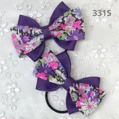 Item thumbnail for item d4784a2f-93de-4552-b0aa-2d7290441fad