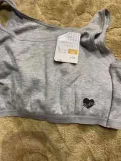 Item thumbnail for item 95959066-73ed-46b0-8708-03a62e270980