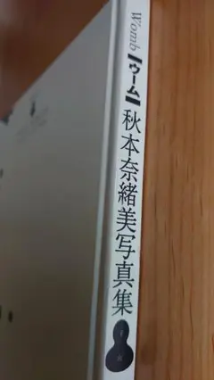 秋本奈緒美写真集 1992年版 全約100ページ