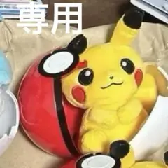 【専用】ぬいぐるみバッジINモンスターボールケース ピカチュウ
