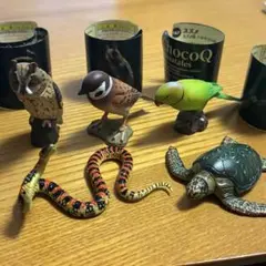 Item thumbnail for item b716ac1c-b4e0-4b7b-bbf1-9c65603a9108