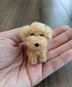手乗りわんこ　トイプードル　全身