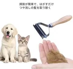 Item thumbnail for item 75b81561-78a9-4d84-9754-19c35c0d4508