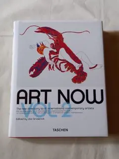ART NOW VOL.2- Luca Grosenick 編