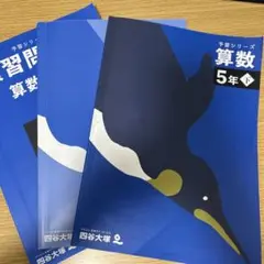 予習シリーズ 算数 5年下