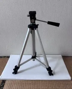 Item thumbnail for item 92a6e8d8-fb25-46f2-b805-db58ca72a4d6