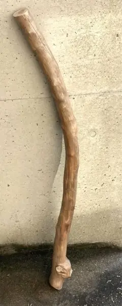 希少　樹齢150〜200年　杉枝　約126cm 鑑賞　庭　インテリア 骨董　天然