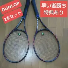 ダンロップ バイオミメティック300 2本