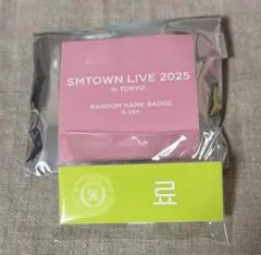 SMTOWN LIVE 2025 in TOKYO ネームバッジ　リョウ