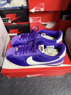 Item thumbnail for item 9bbf0ea8-1886-4c8a-a0d5-38c306019493