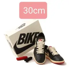 【30cm】Nigel Sylvester × Air Jordan 1