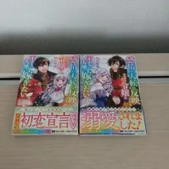 ささやん様 リクエスト 2点 まとめ商品