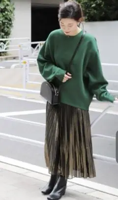 JOURNALSTANDARD/ハクイレギュラープリーツスカート