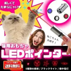 猫 おもちゃ LEDポインター ペンライト 懐中電灯 USB充電式 R48