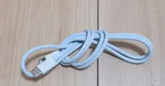 非売品 Apple USB-C - Lightningケーブル ブルー色