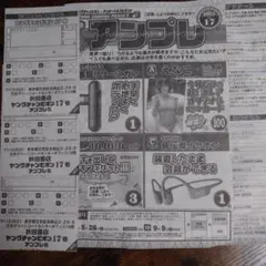 最新号ヤングチャンピオン 2025年17号 抽プレ えなこ クオ 応募用紙3枚