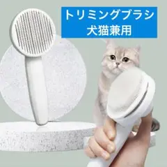 Item thumbnail for item 07728fc3-ea56-46b5-ab60-0e94aca71eea