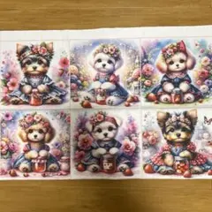 未使用　犬柄　パネル　ヨーキー　トイプードル　マルチーズ　6パネル　ジャム