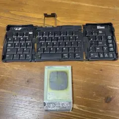 バイザー社　palm
