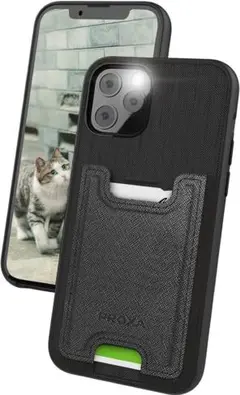 Item thumbnail for item b7c77e85-4030-4c0e-9926-d75ebdbe77be