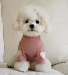 Item thumbnail for item cfe5c75a-df0d-4f71-a279-47f49796ae58