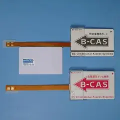 Item thumbnail for item bd4fefe7-711d-418f-a27d-052e092f421e